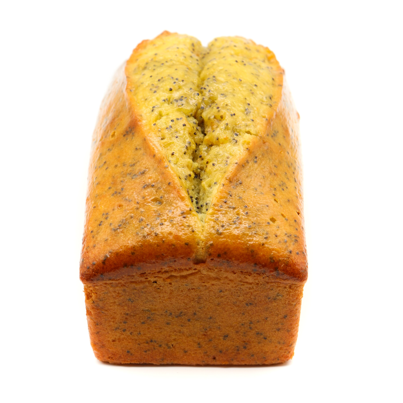 20210205015826_IMG_2793 (1)