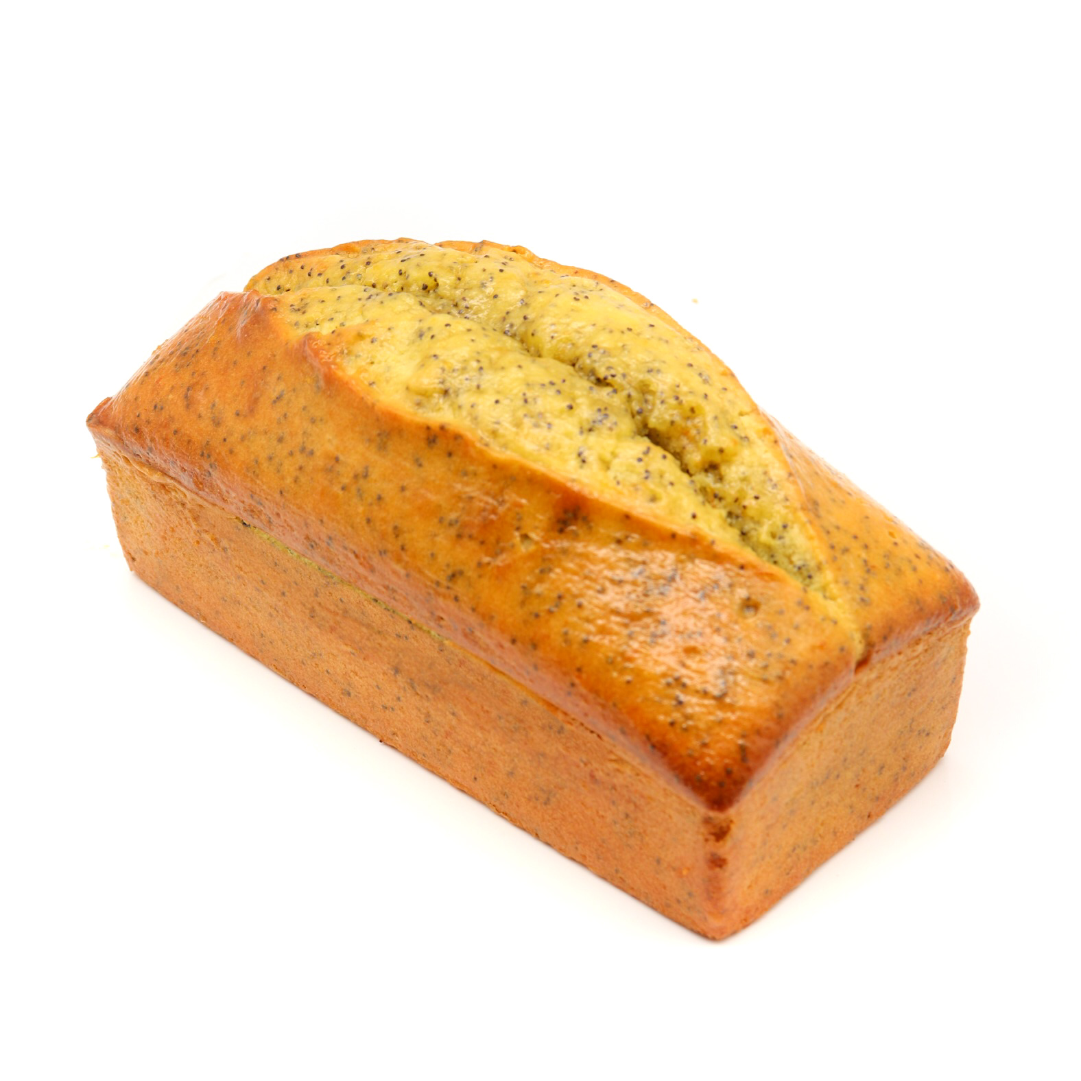 20210205015939_IMG_2798 (1)